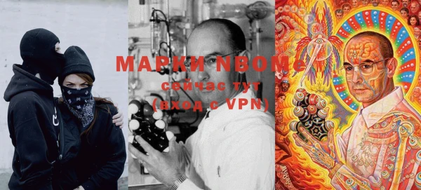 ГАЛЛЮЦИНОГЕННЫЕ ГРИБЫ Абаза