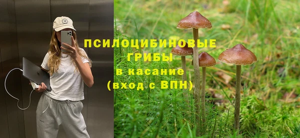 ГАЛЛЮЦИНОГЕННЫЕ ГРИБЫ Абаза