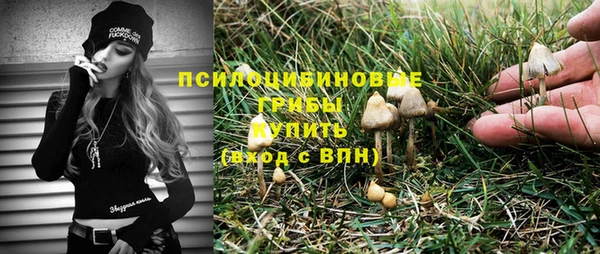 ГАЛЛЮЦИНОГЕННЫЕ ГРИБЫ Абаза