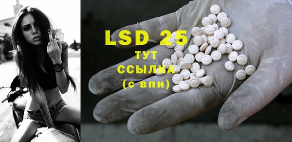 ГАЛЛЮЦИНОГЕННЫЕ ГРИБЫ Абаза
